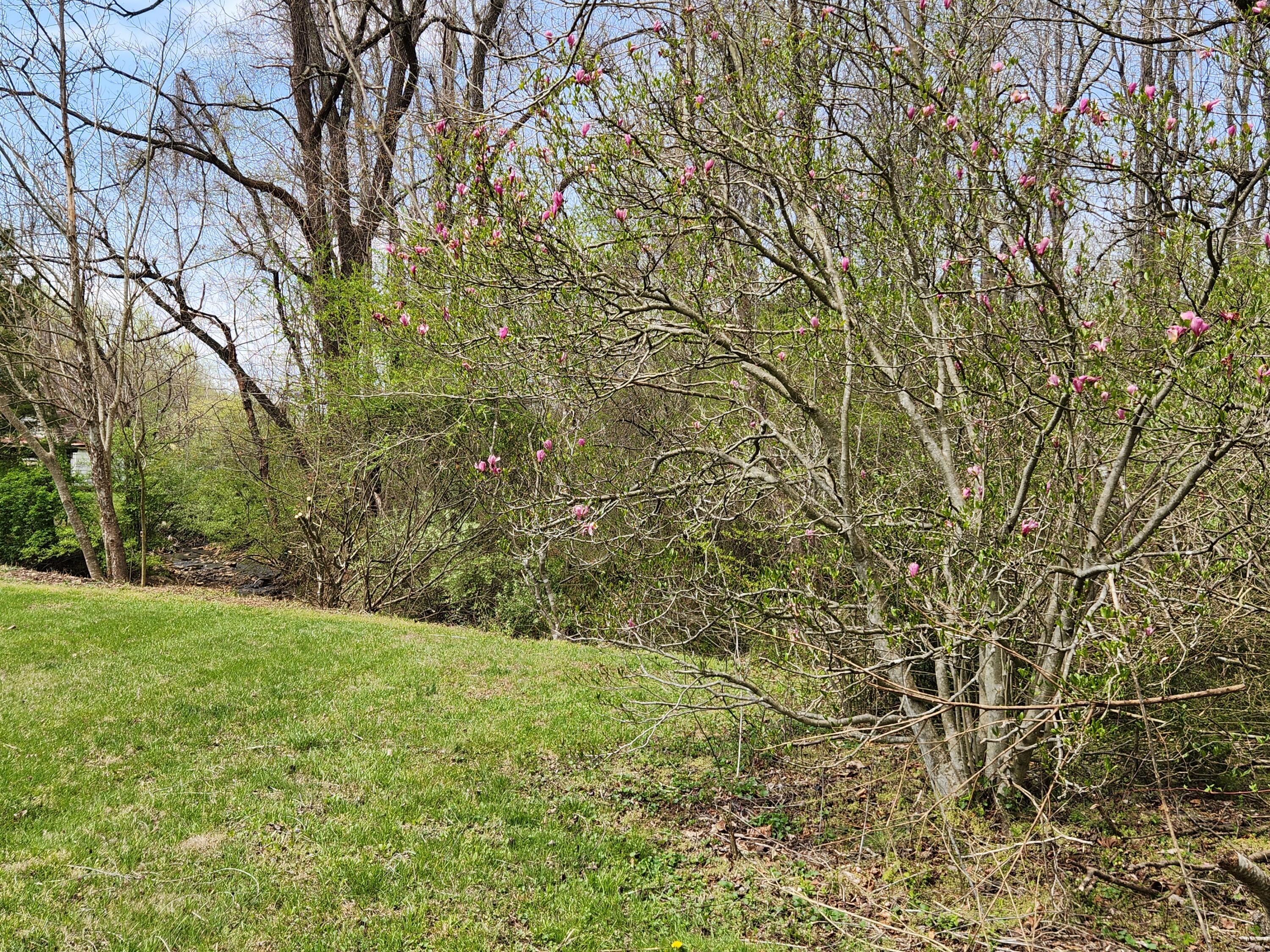 101 Union Road Ferrum, VA 24088 - Photo 37 of 41 a view of yard with green space