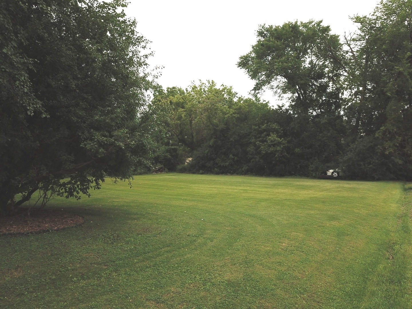8808 Bard Road Crystal Lake, IL 60014 - Photo 30 of 32 a view of a field of grass and trees