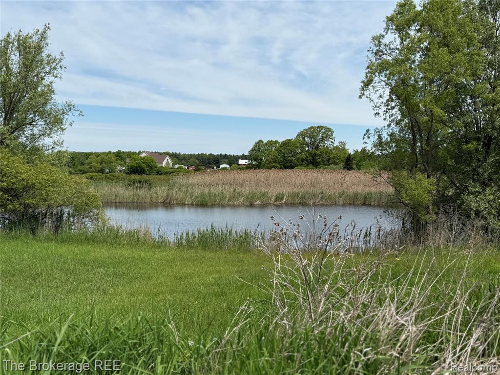 3020 Merwin Road Lapeer, MI 48446 - Photo 5 of 33