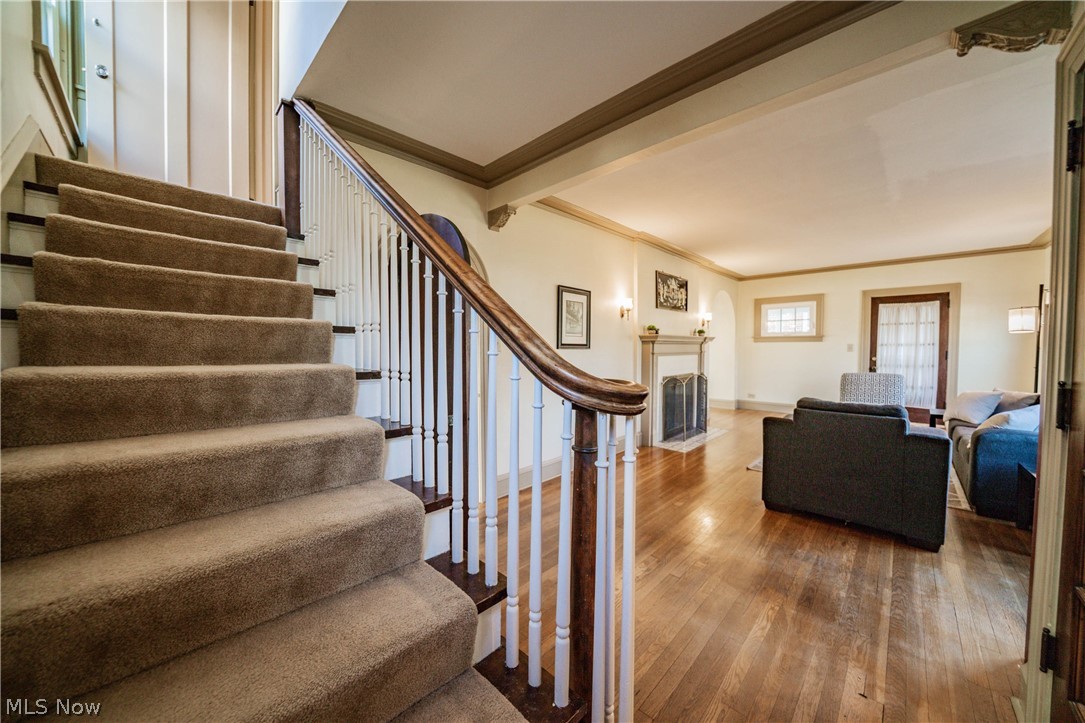 3345 Avalon Road Cleveland, OH 44120 - Photo 11 of 31 Gallery Image 11
