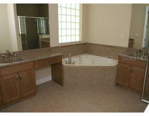 13244 Sunkiss Loop Windermere, FL 34786 - Photo 7 of 10 Master Bath/Spa