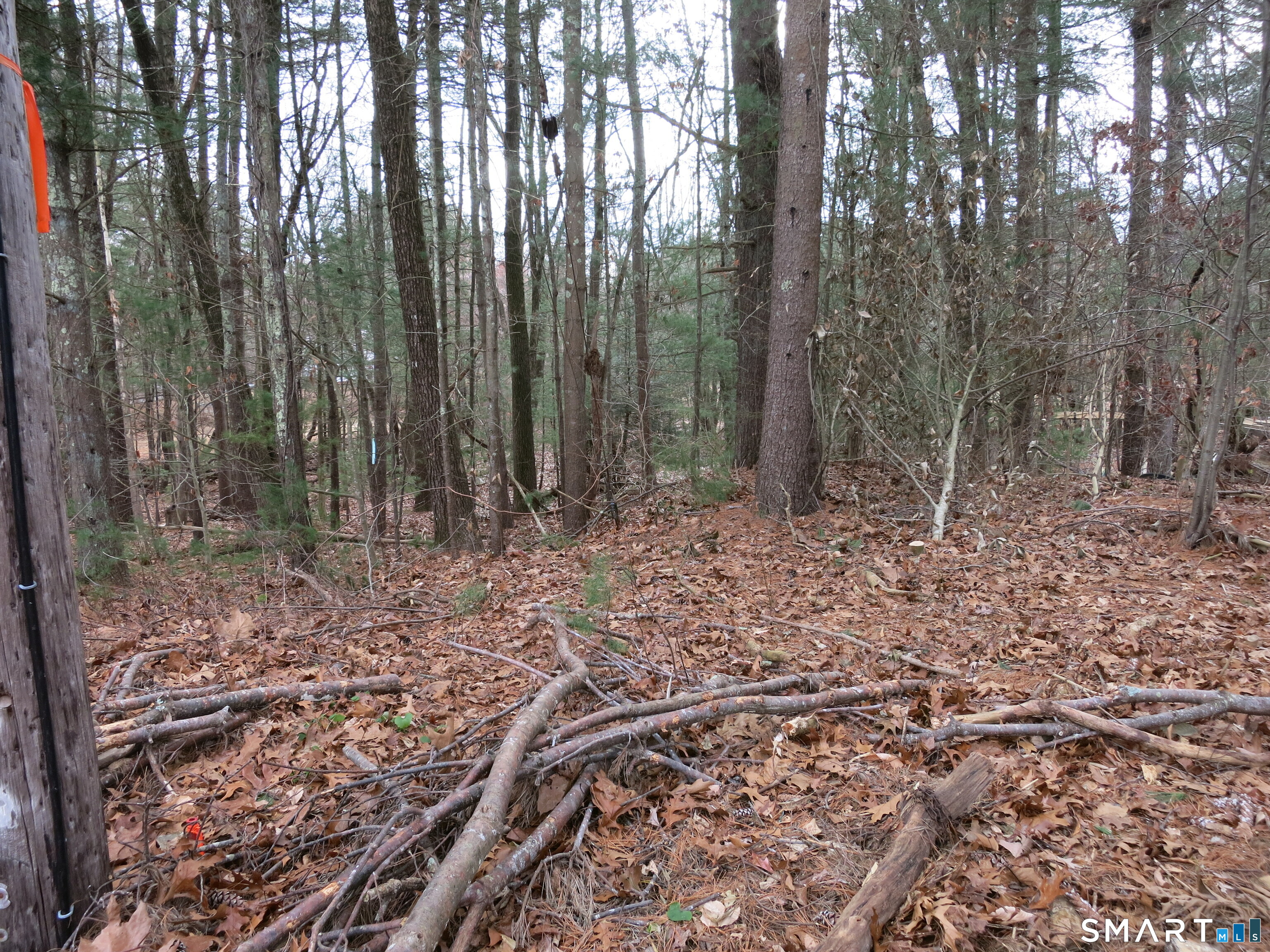 0 White Sands Road Moodus, CT 06469 - Photo 4 of 4 a view of outdoor space with green space