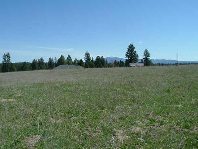 Lot A Hamilton Road Deer Park, WA 99006 - Photo 2 of 6