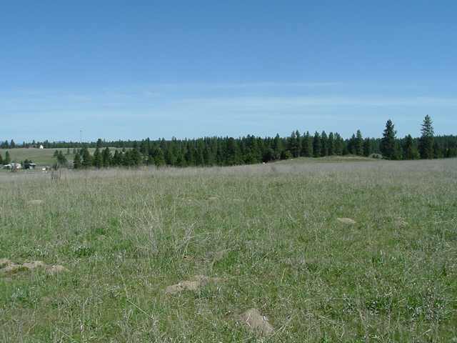 Lot A Hamilton Road Deer Park, WA 99006 - Photo 3 of 6