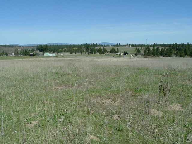 Lot A Hamilton Road Deer Park, WA 99006 - Photo 5 of 6