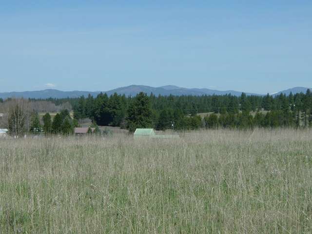 Lot A Hamilton Road Deer Park, WA 99006 - Photo 6 of 6
