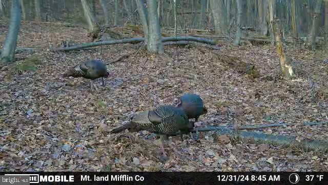 0 Carlisle Gap Road Lewistown, PA 17044 - Photo 35 of 53