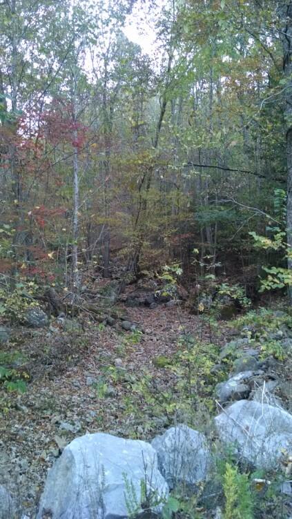 1233 Cherokee Ridge Road Pikeville, TN 37367 - Photo 1 of 6 86a284ad12adb870eca3dca564229d86