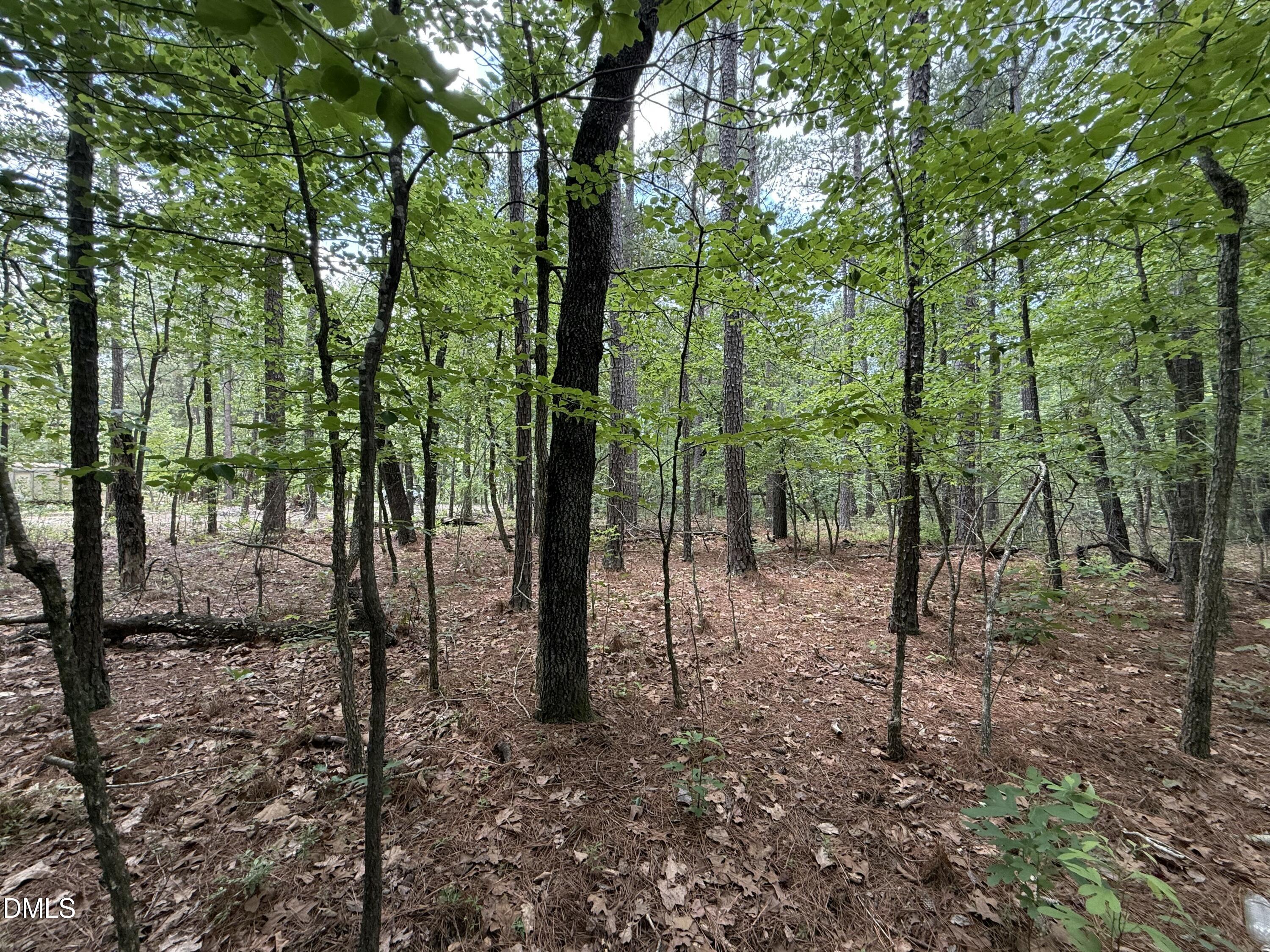 0 Elfman Drive Spring Lake, NC 28390 - Photo 22 of 40 a view of a forest