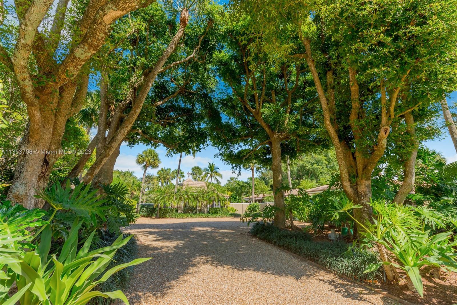 115 Gomez Road Jupiter Island, FL 33455 - Photo 20 of 20 a backyard of a house with lots of green space