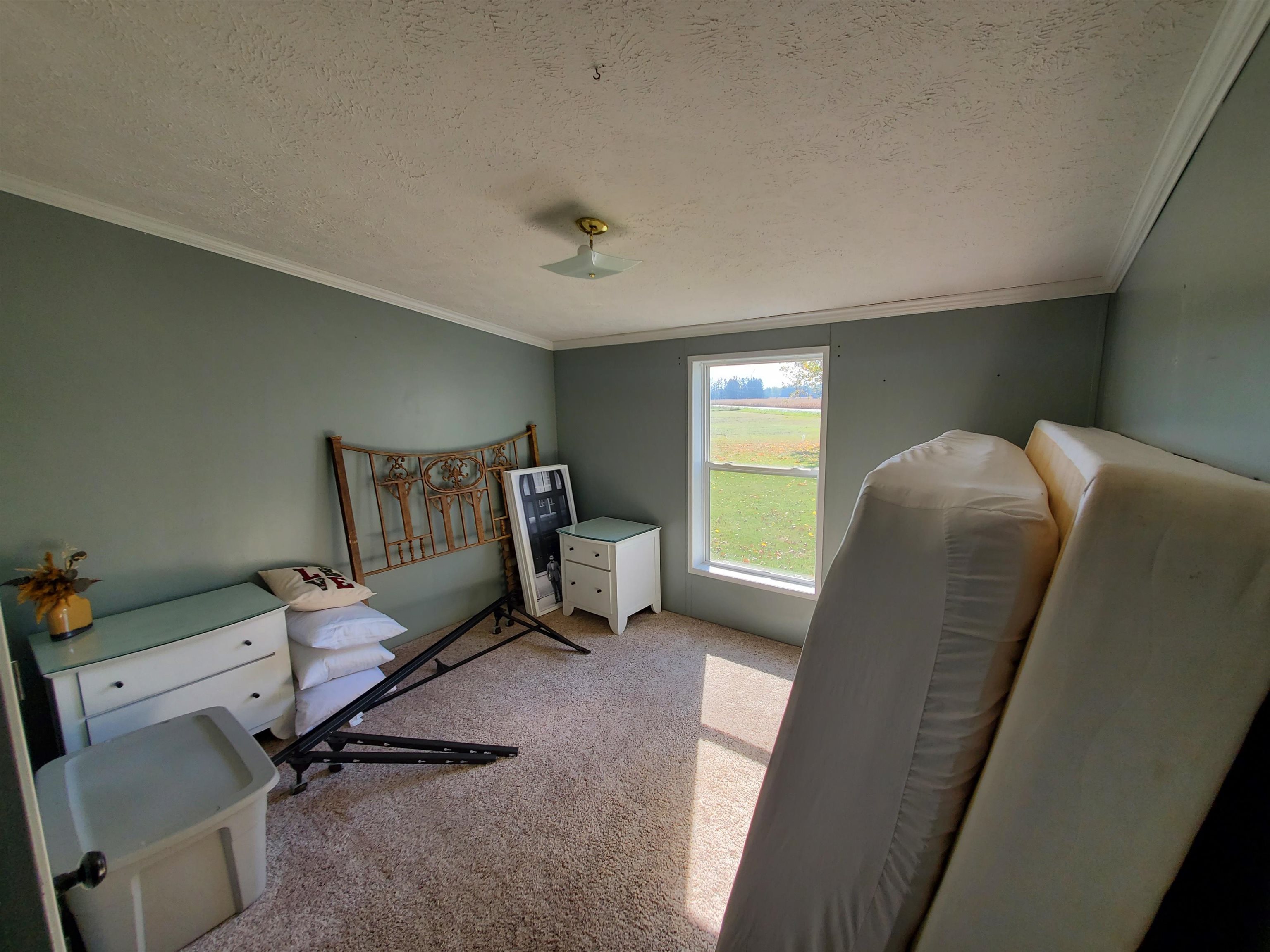 8515 South Wise Road Shepherd, MI 48883 - Photo 13 of 14