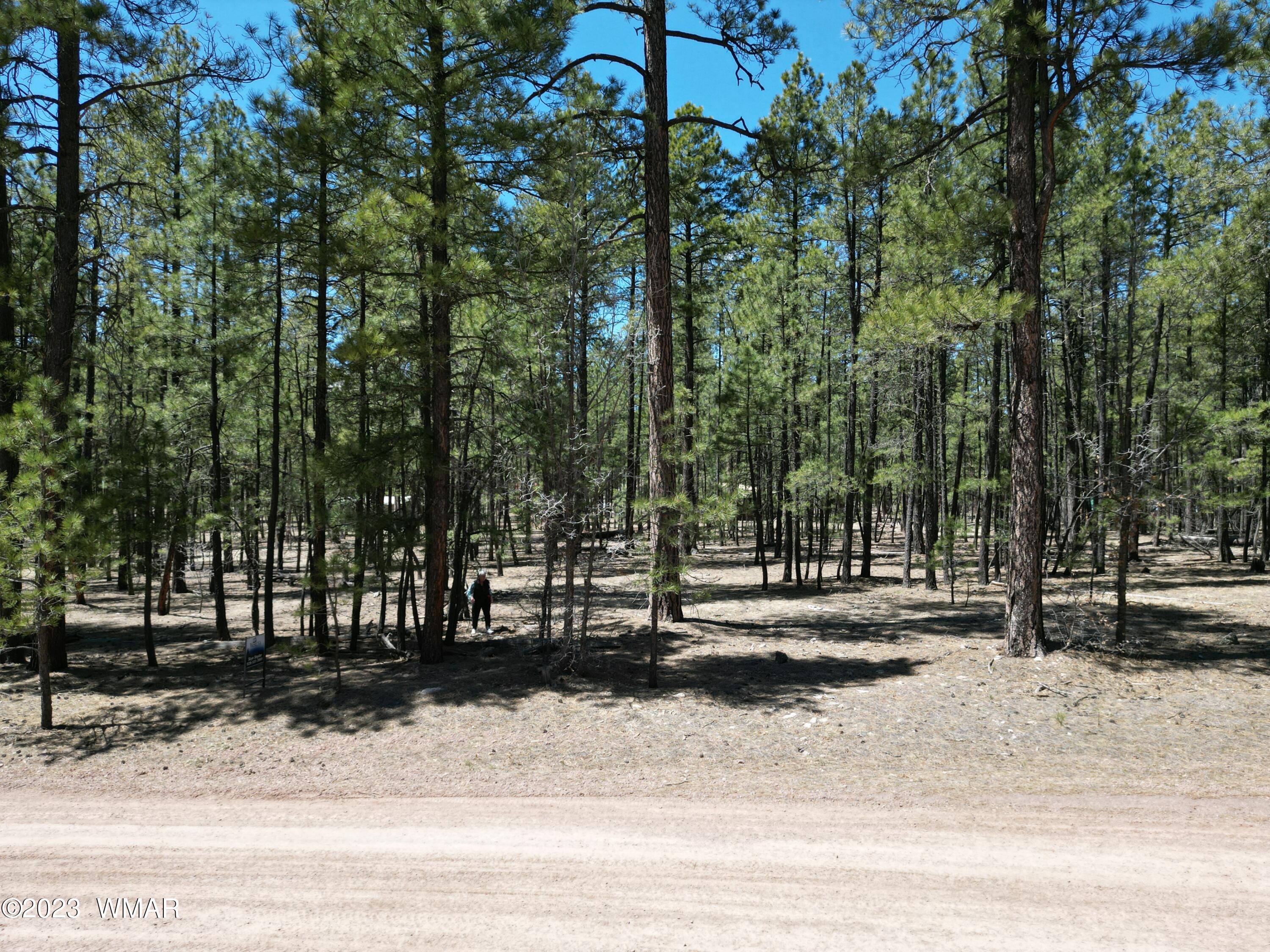 11 County Road Alpine, AZ 85920 - Photo 11 of 12
