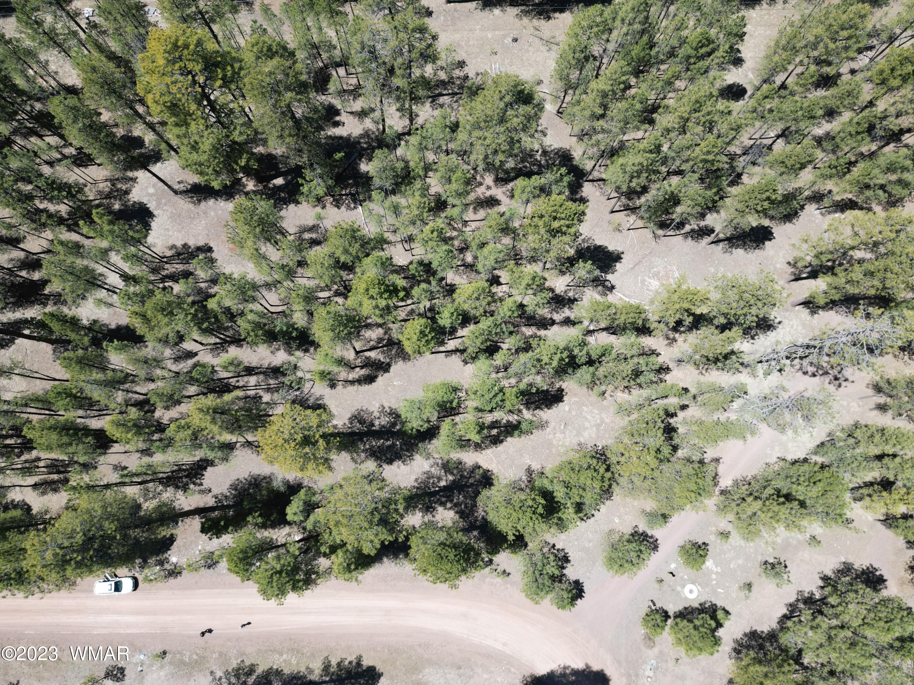 11 County Road Alpine, AZ 85920 - Photo 12 of 12
