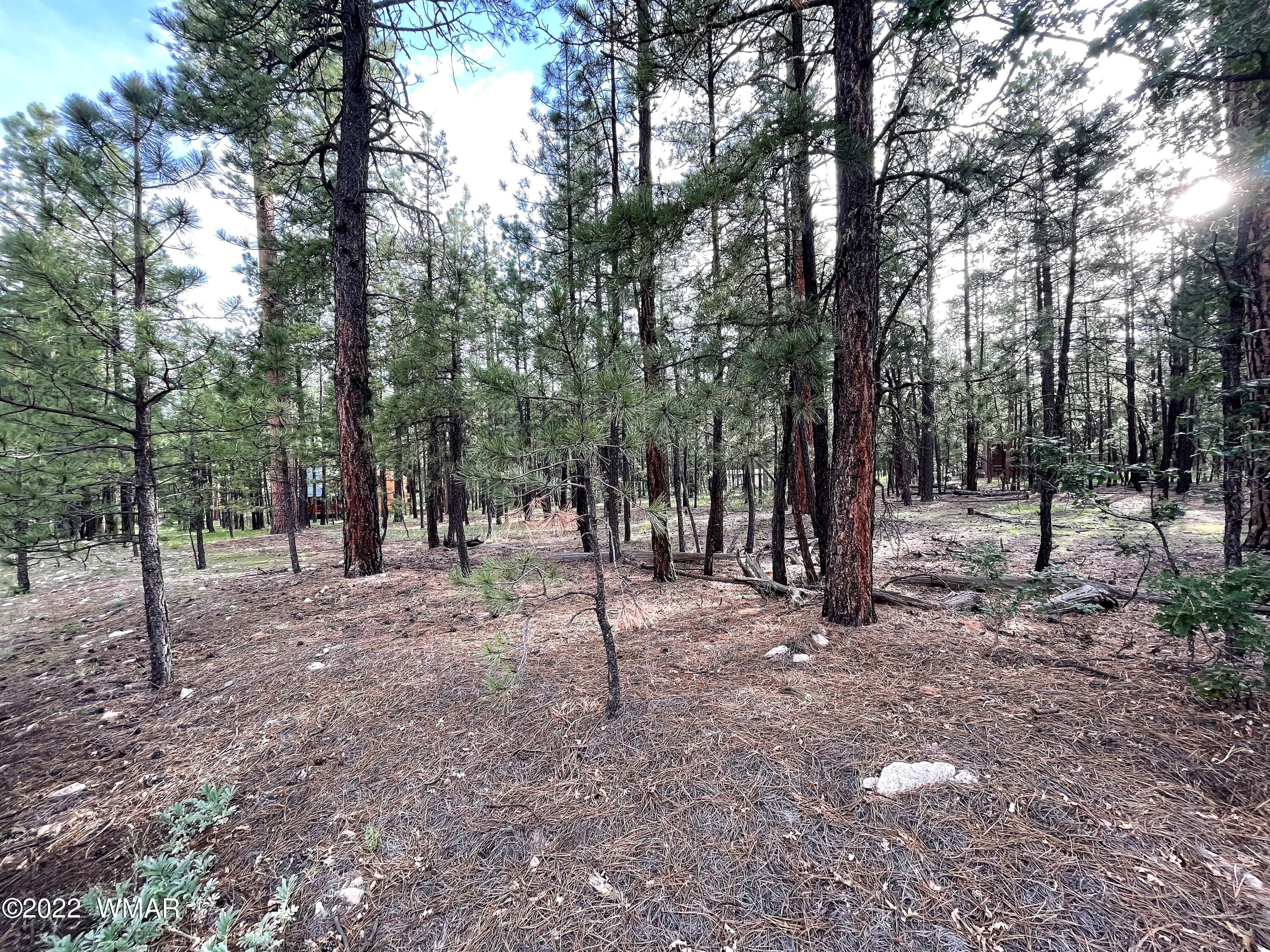 11 County Road Alpine, AZ 85920 - Photo 5 of 12