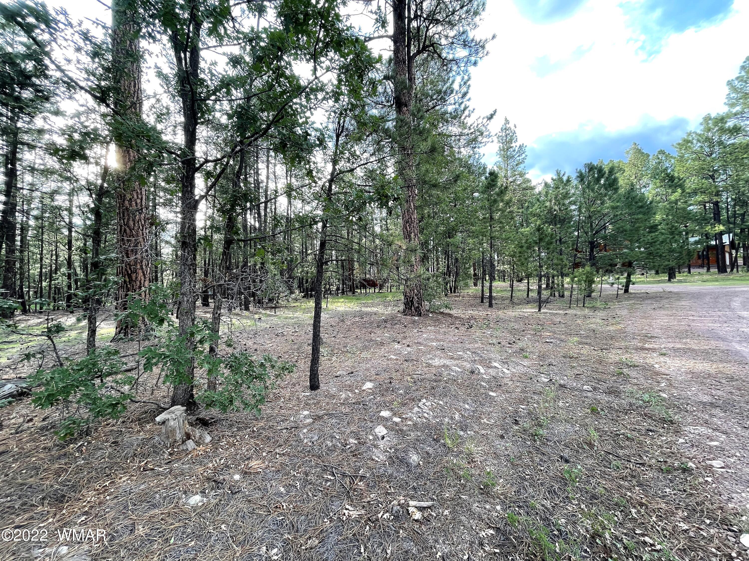 11 County Road Alpine, AZ 85920 - Photo 6 of 12
