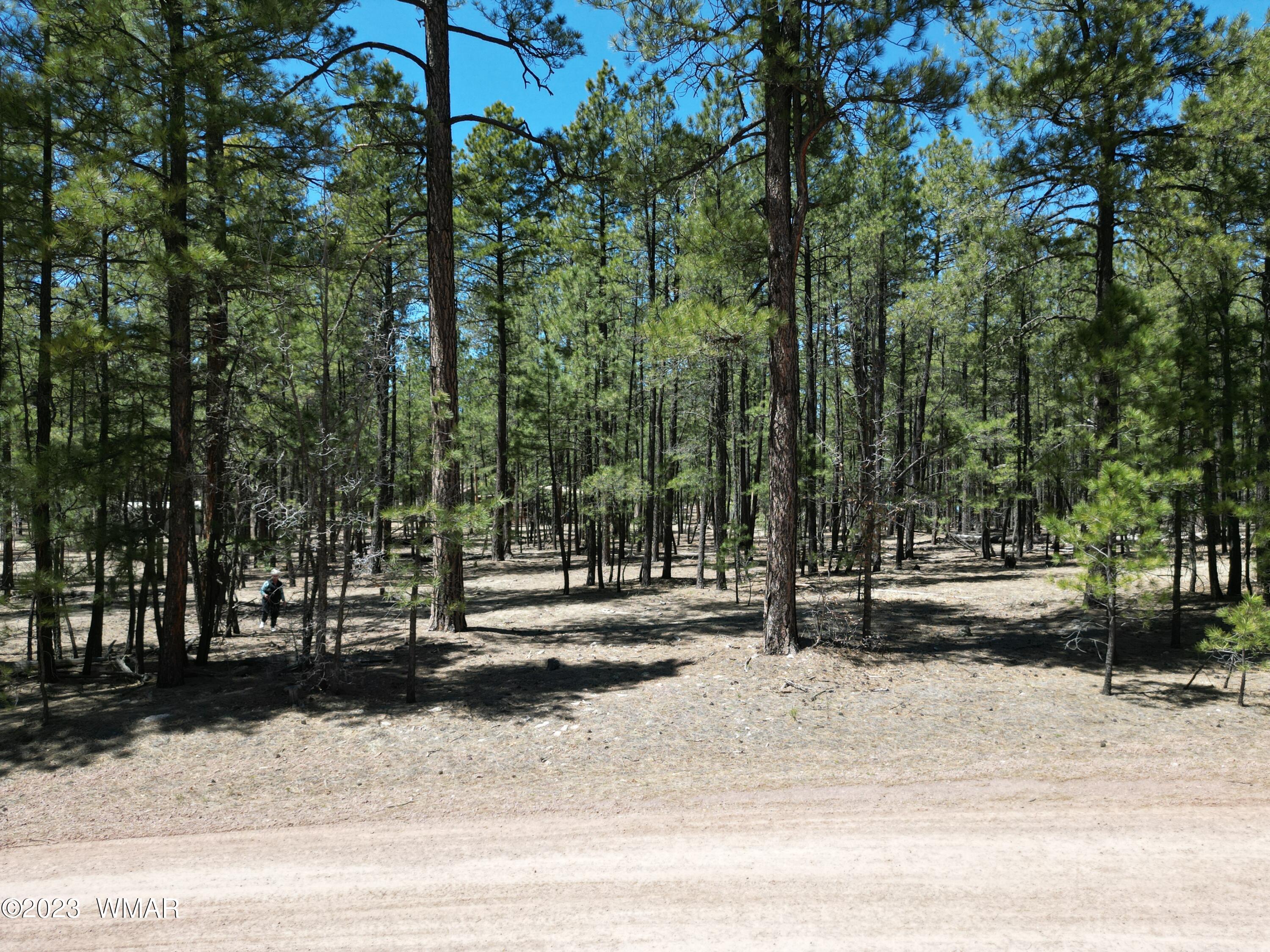 11 County Road Alpine, AZ 85920 - Photo 10 of 12