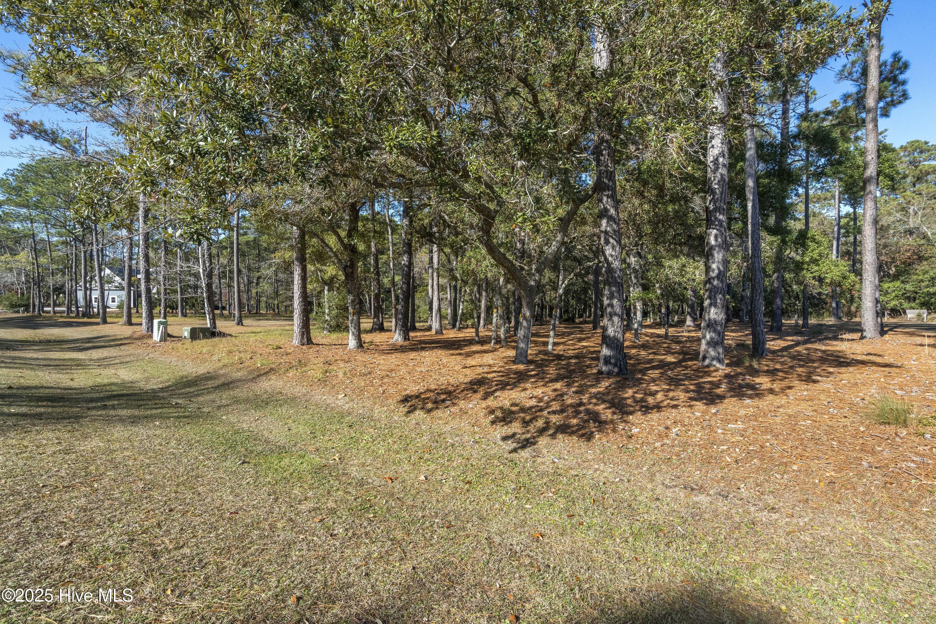 342 Genoe's Point Road Southwest Supply, NC 28462 - Photo 18 of 38 DSC01566