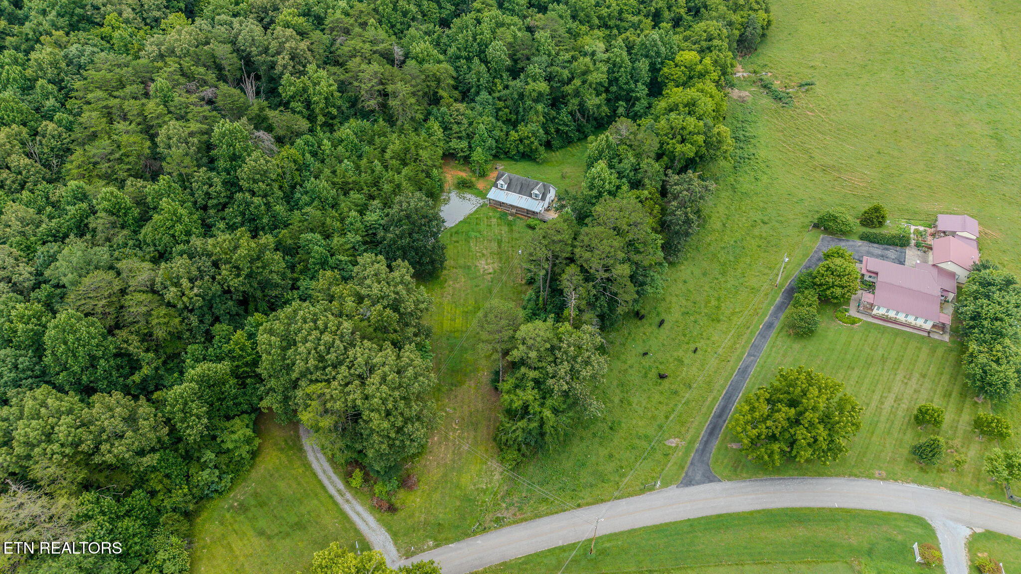 1985 Poplar Springs Road Greeneville, TN 37743 - Photo 30 of 32 3-web-or-mls-1985-poplar-springs-rd