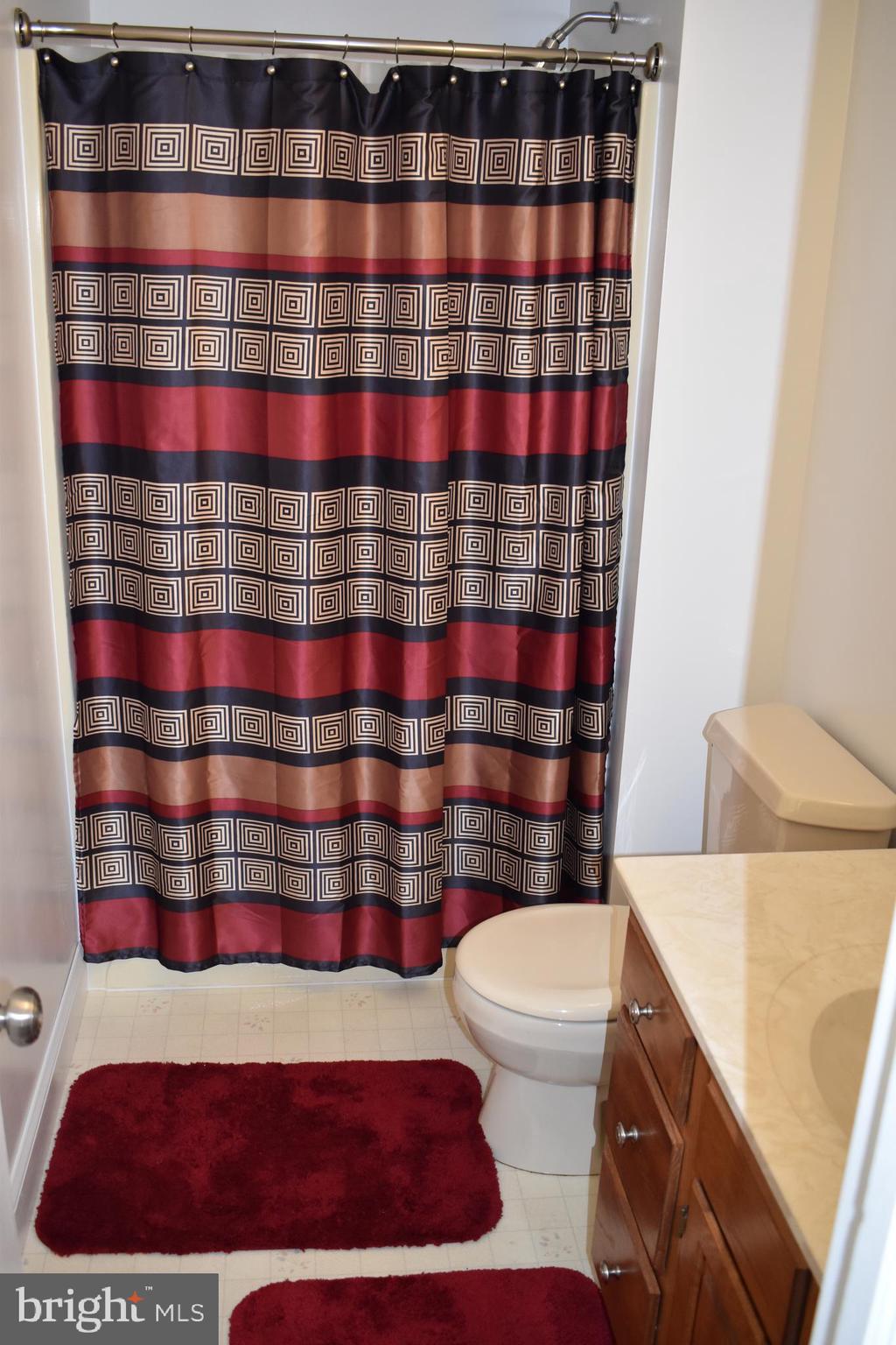 18166 Morgan Pine Road Knoxville, MD 21758 - Photo 24 of 69 Master Bath