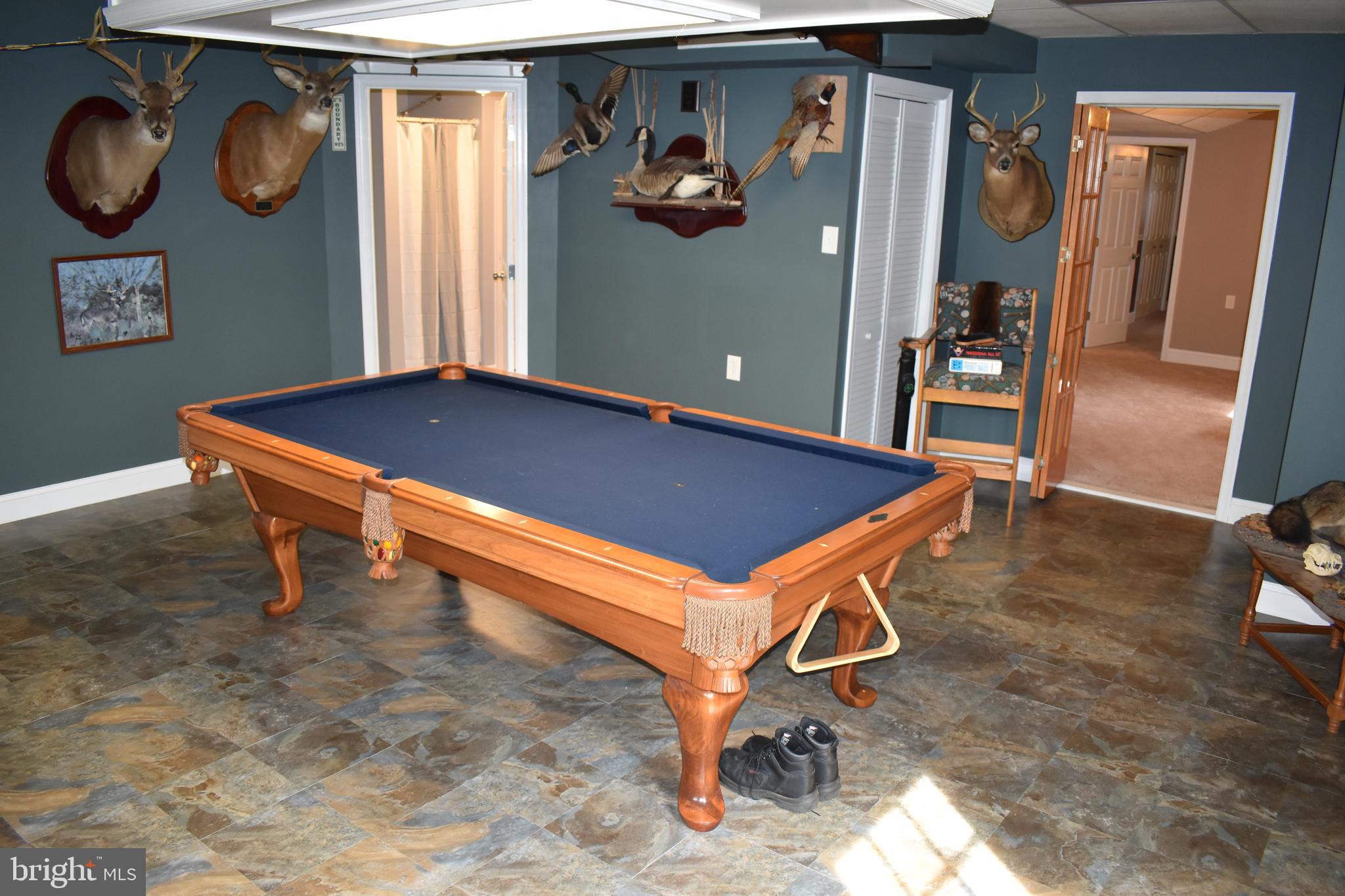 18166 Morgan Pine Road Knoxville, MD 21758 - Photo 30 of 69 Lower Level Game Room