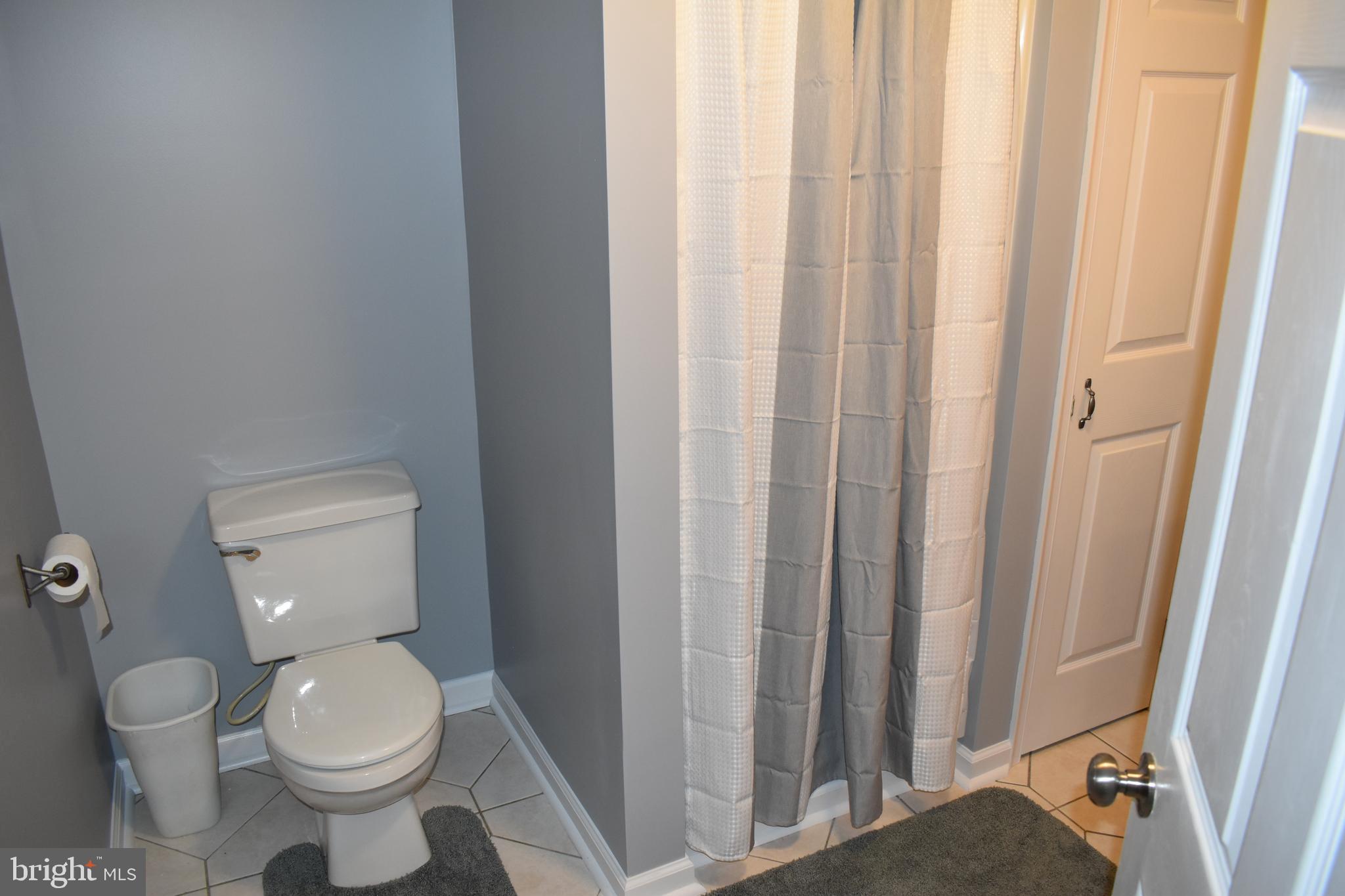 18166 Morgan Pine Road Knoxville, MD 21758 - Photo 31 of 69 Lower Level Bath