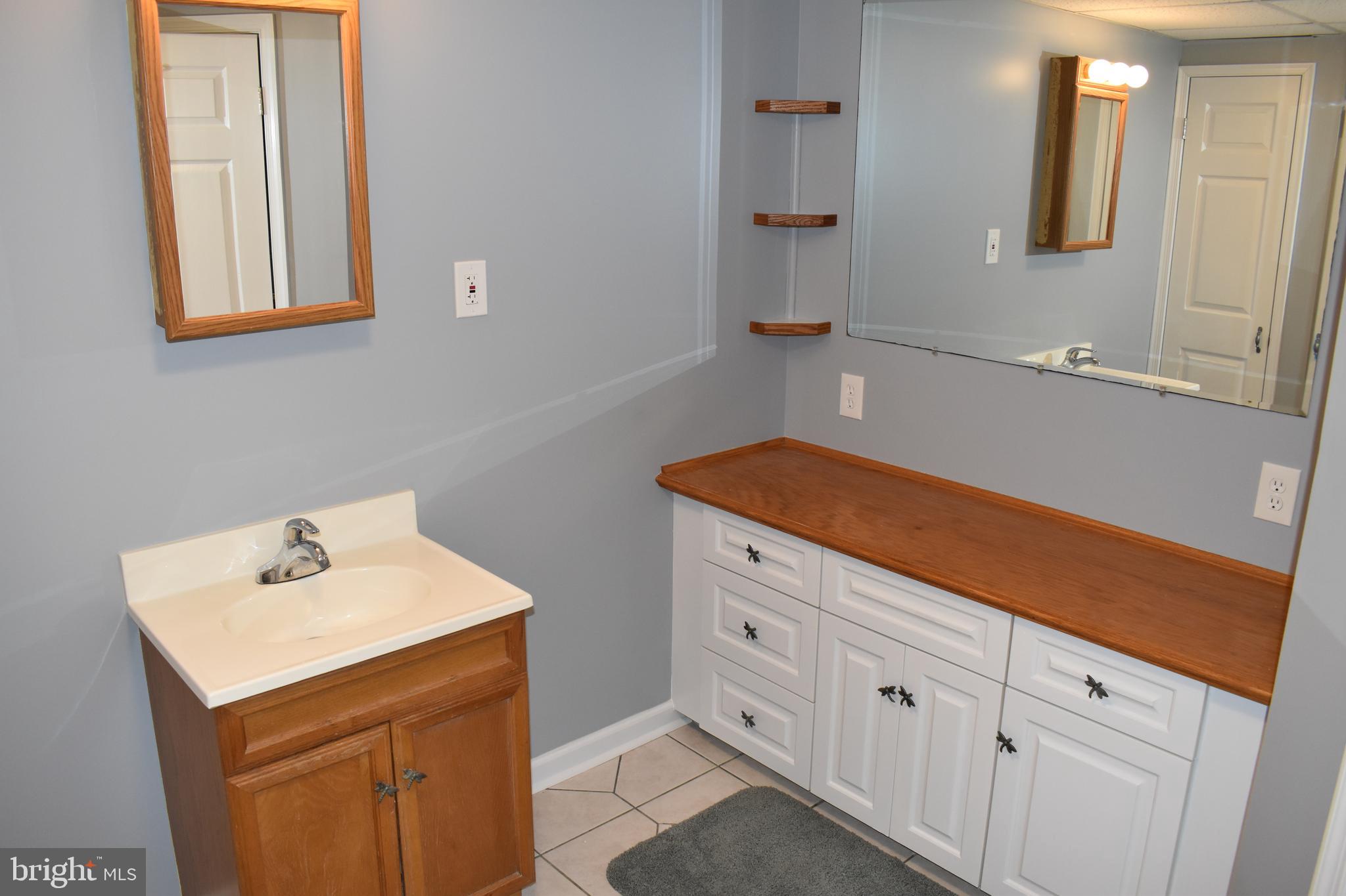 18166 Morgan Pine Road Knoxville, MD 21758 - Photo 32 of 69 Lower Level Bath