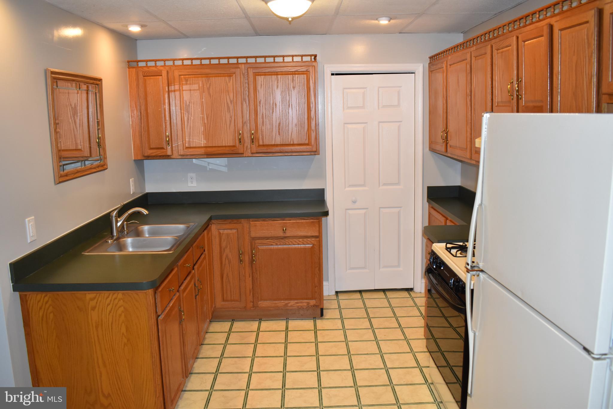 18166 Morgan Pine Road Knoxville, MD 21758 - Photo 34 of 69 Lower Level Kitchen