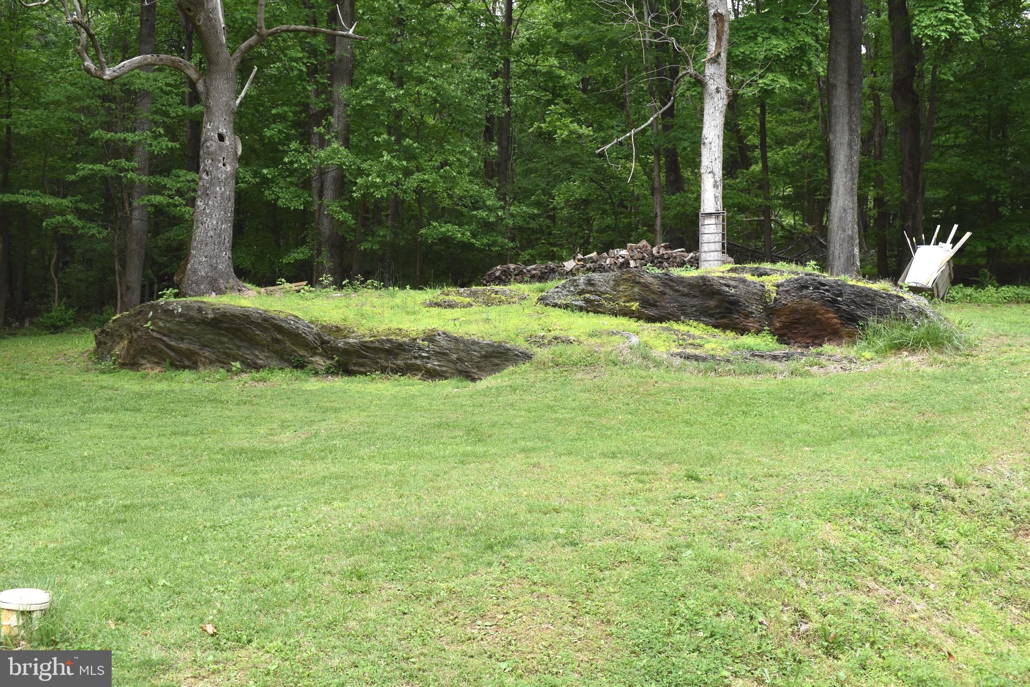 18166 Morgan Pine Road Knoxville, MD 21758 - Photo 6 of 69 Year Yard Outcroppings
