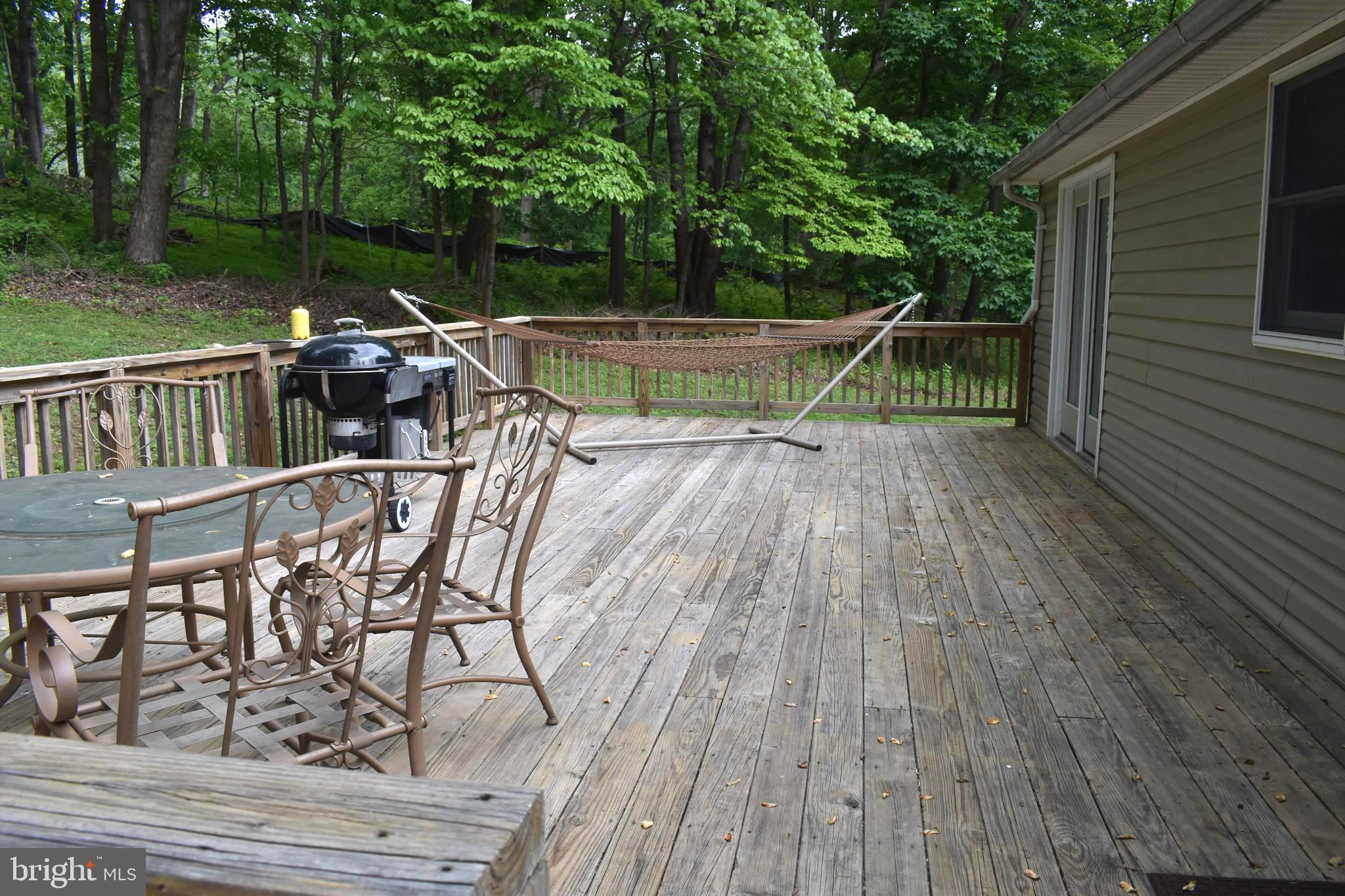 18166 Morgan Pine Road Knoxville, MD 21758 - Photo 55 of 69 Deck