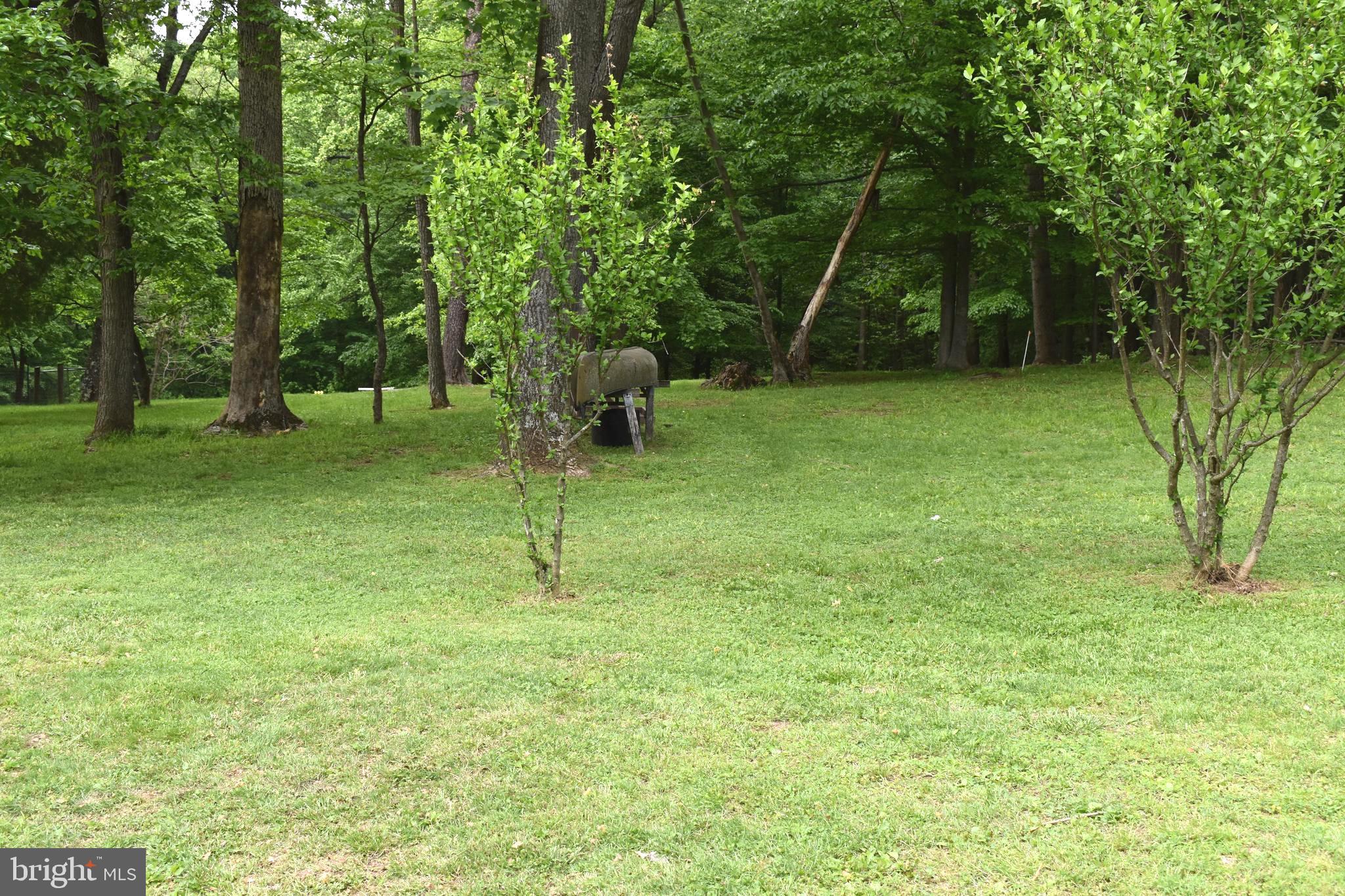 18166 Morgan Pine Road Knoxville, MD 21758 - Photo 57 of 69 Rear Yard