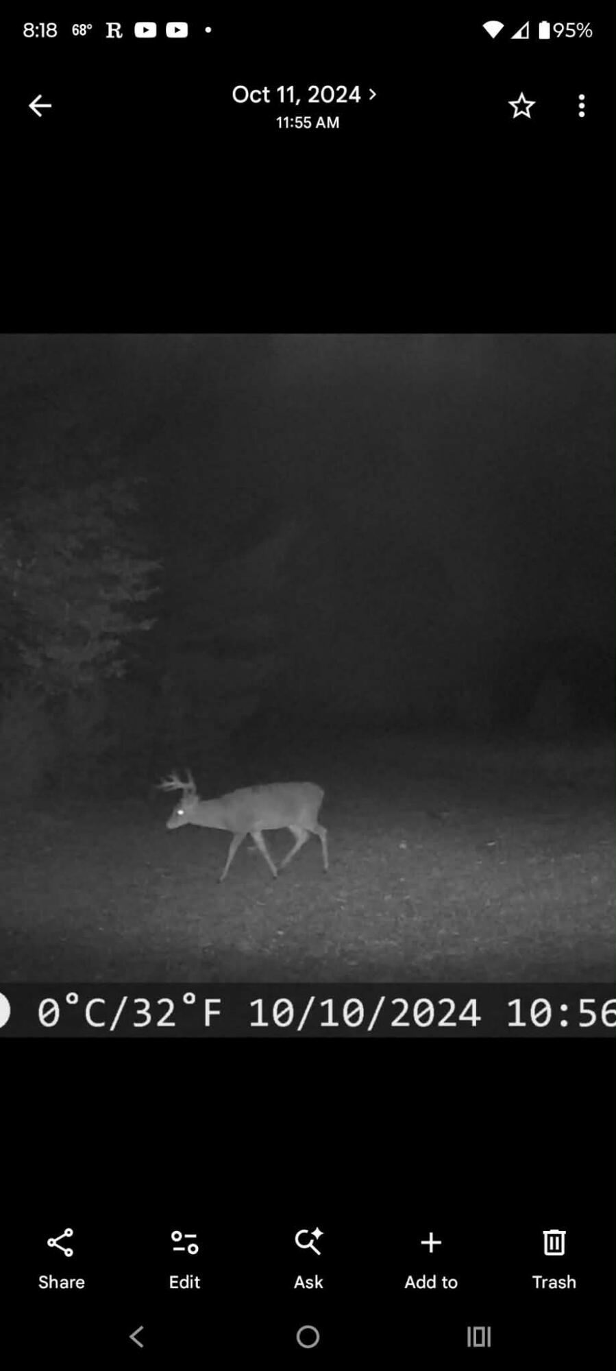 9191 West 34 Road Harrietta, MI 49638 - Photo 64 of 65 att.JzBPxMnVzokGIJfkJSk4LwH23y8Ie6tI6HQm