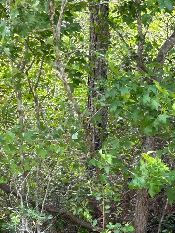 $60,000 | 1773 Beech Road, Southport, NC 28461