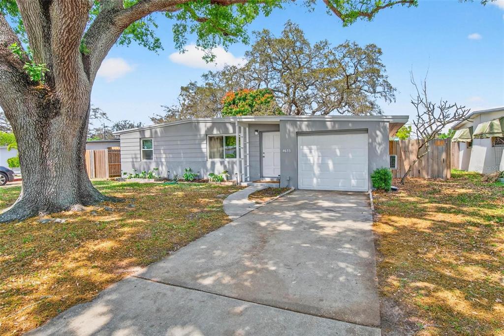 a view of a house with a tree in front of it