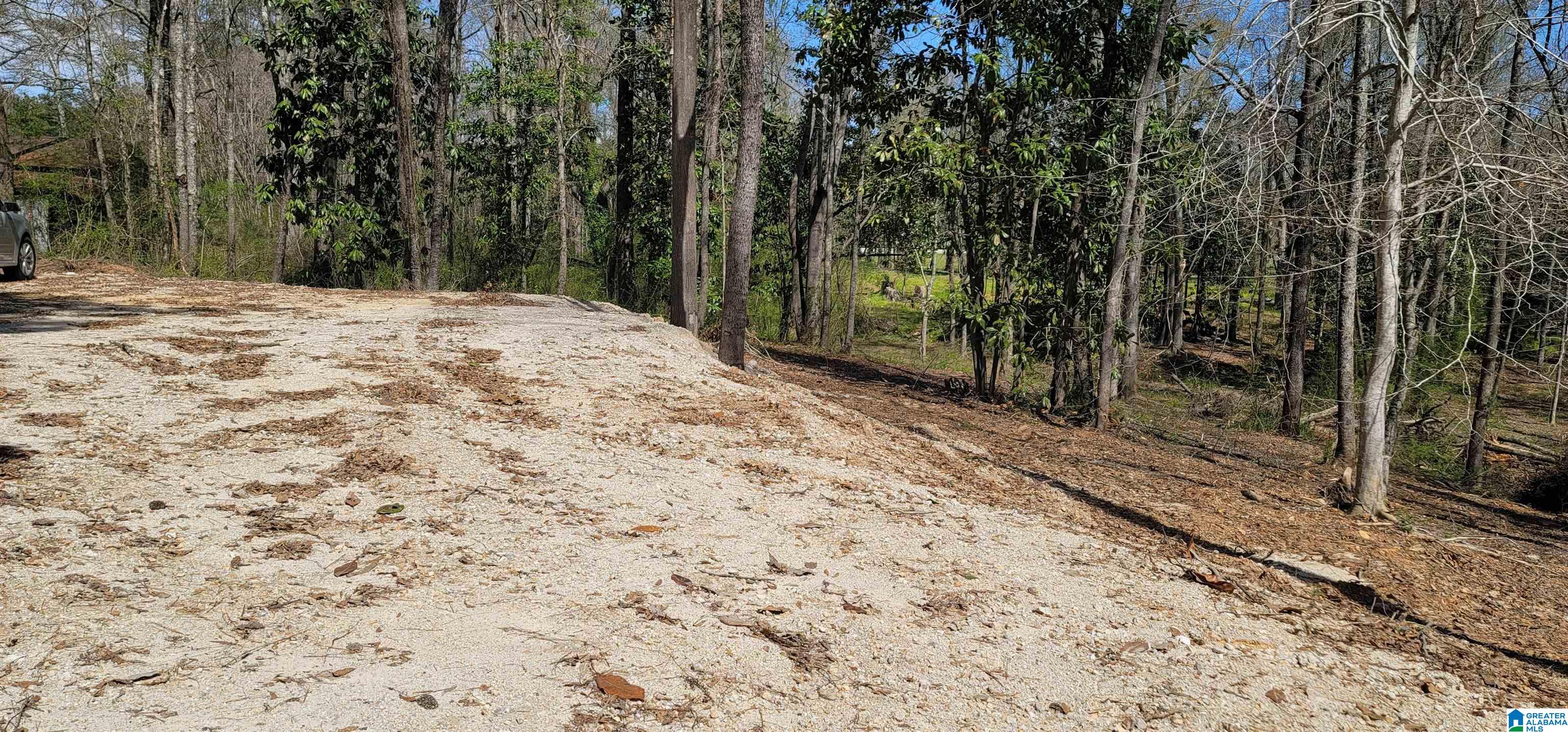0 Osborne Street, Unit 3 ACRES Heflin, AL 36264 - Photo 11 of 11