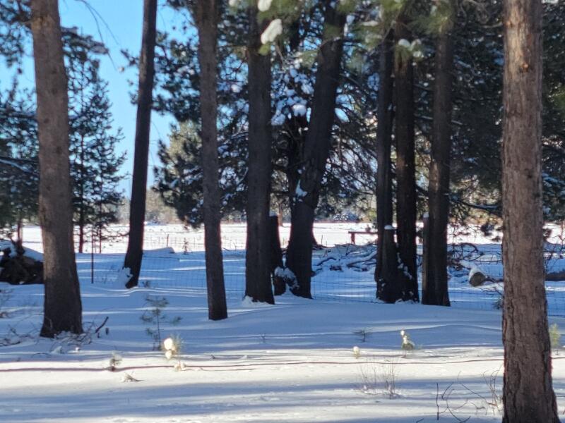 1831 Terret Road La Pine, OR 97739 - Photo 33 of 49 backyard view from deck. view is of a large private ranch which has elk, deer, misc wildlife and livestock throught the seasons.