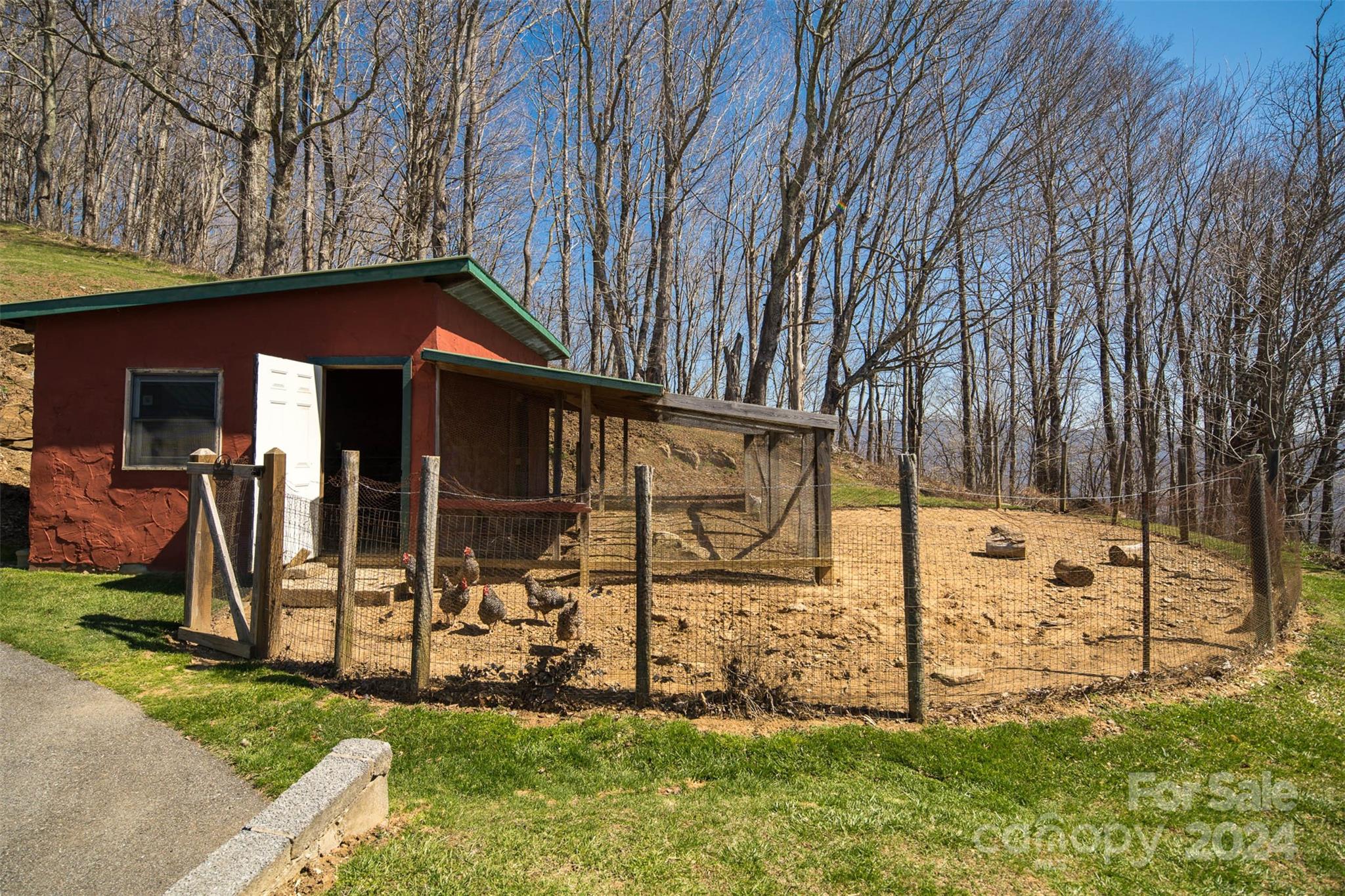 482 Turkey Ridge Road Vilas, NC 28692 - Photo 42 of 48 Gallery Image 42