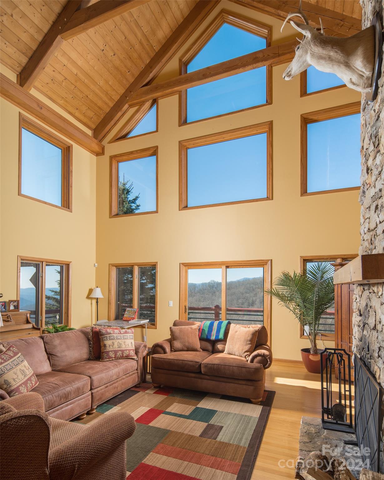 482 Turkey Ridge Road Vilas, NC 28692 - Photo 8 of 48 Gallery Image 8
