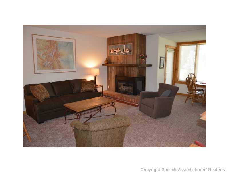 88 Guller Road, Unit 406 Frisco, CO 80443 - Photo 5 of 25 Living Room. New carpet & new furniture including a new sleeper sofa!