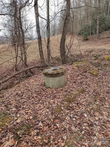 a view of a backyard with fountain