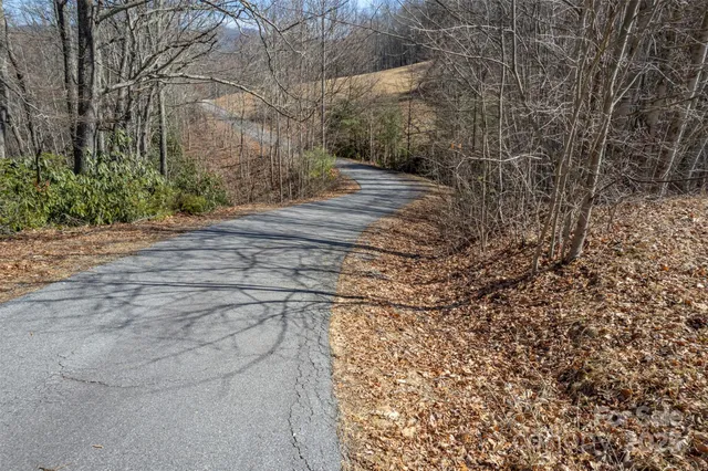 a view of pathway along with yard