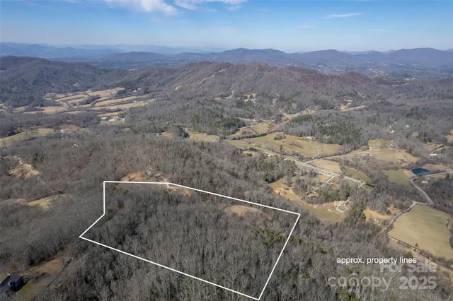 a big yard with lots of green space