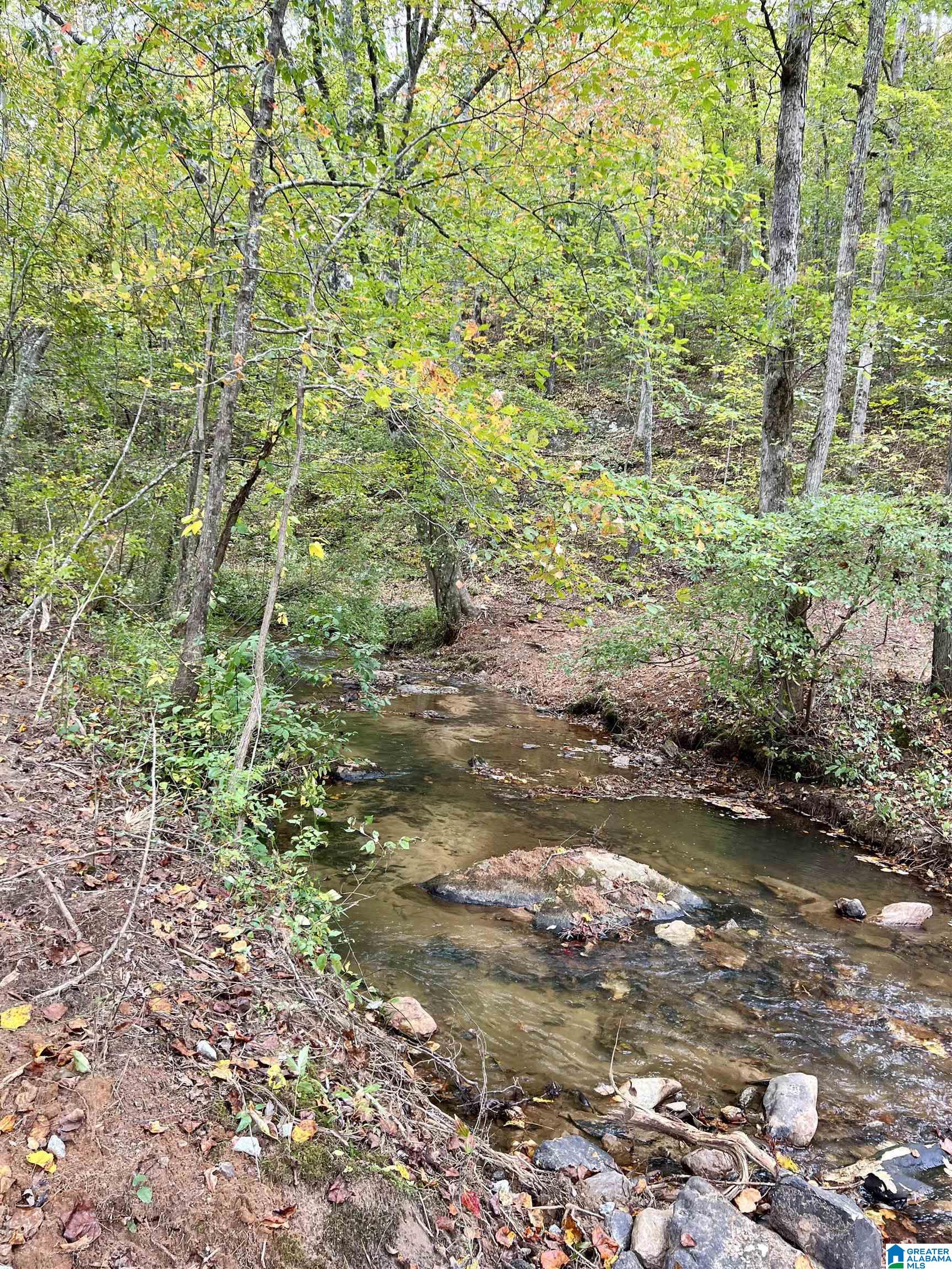 0 County Road 4 Wedowee, AL 36278 - Photo 3 of 24