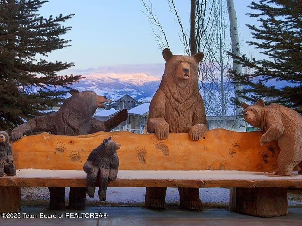 7710 Granite Loop Road, Unit 3 Teton Village, WY 83025 - Photo 3 of 7 bearbench
