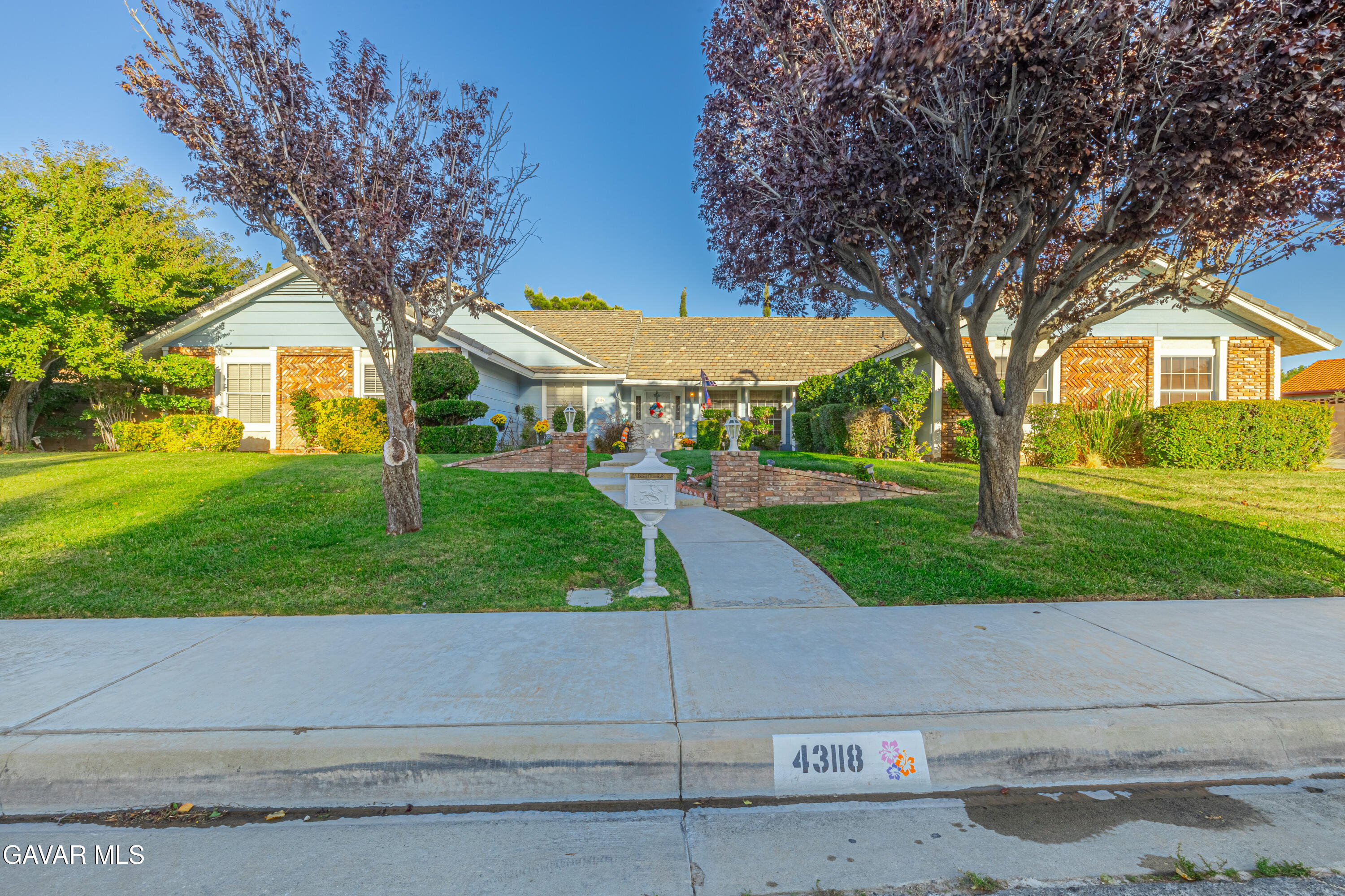 43118 Roulette Lane Lancaster, CA 93536 - Photo 1 of 60 8-print-AVOH--13