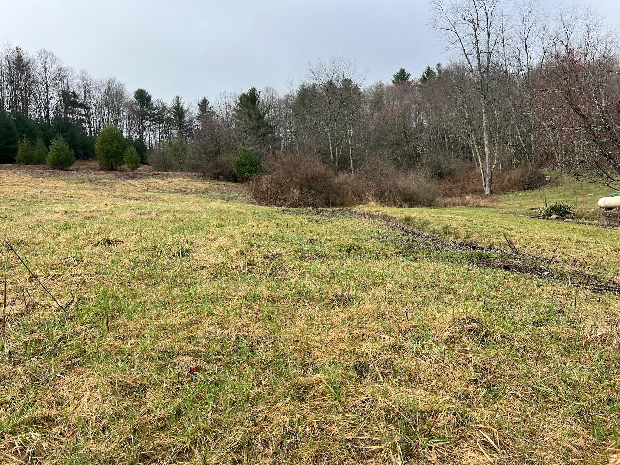 Meadow Bridge Rd Meadow Bridge Meadow Bridge, WV 25976 - Photo 10 of 22 Gallery Image 10