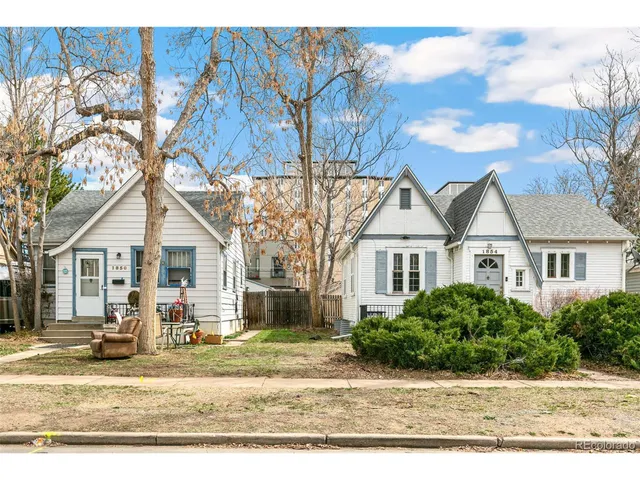 a view of a yard with a large tree