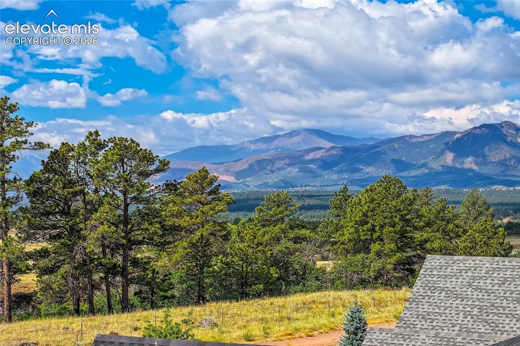 11824 Alydar Loop Colorado Springs, CO 80921 - Photo 5 of 50