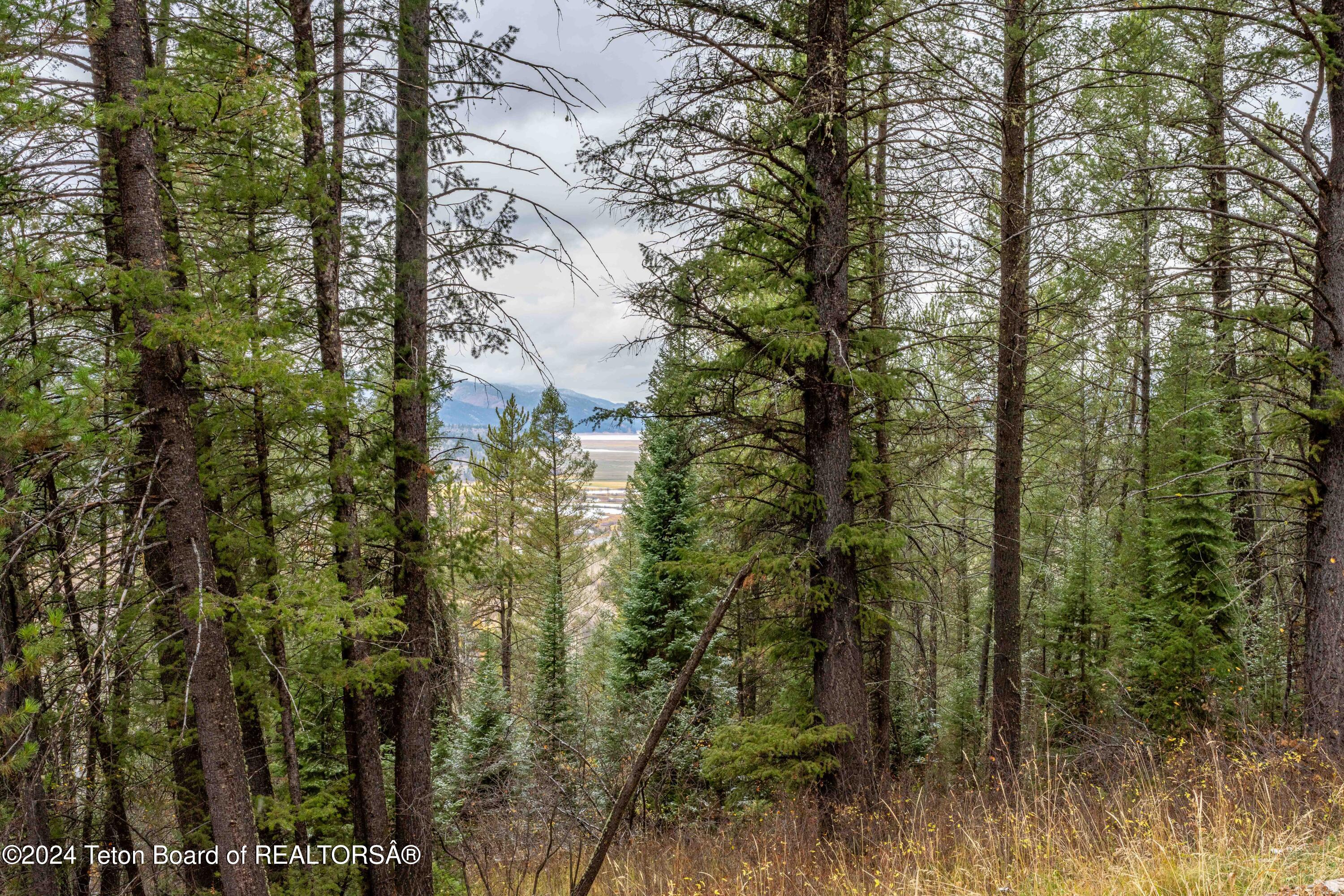 Lot 24 Trail Ridge Road Alpine, WY 83128 - Photo 3 of 13 ShadowDancer24_JGPhoto-19