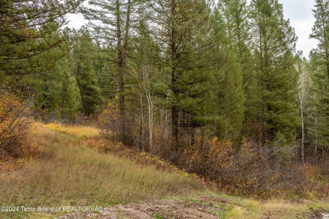 $290,000 | Lot 24 Trail Ridge Road, Alpine, WY 83128