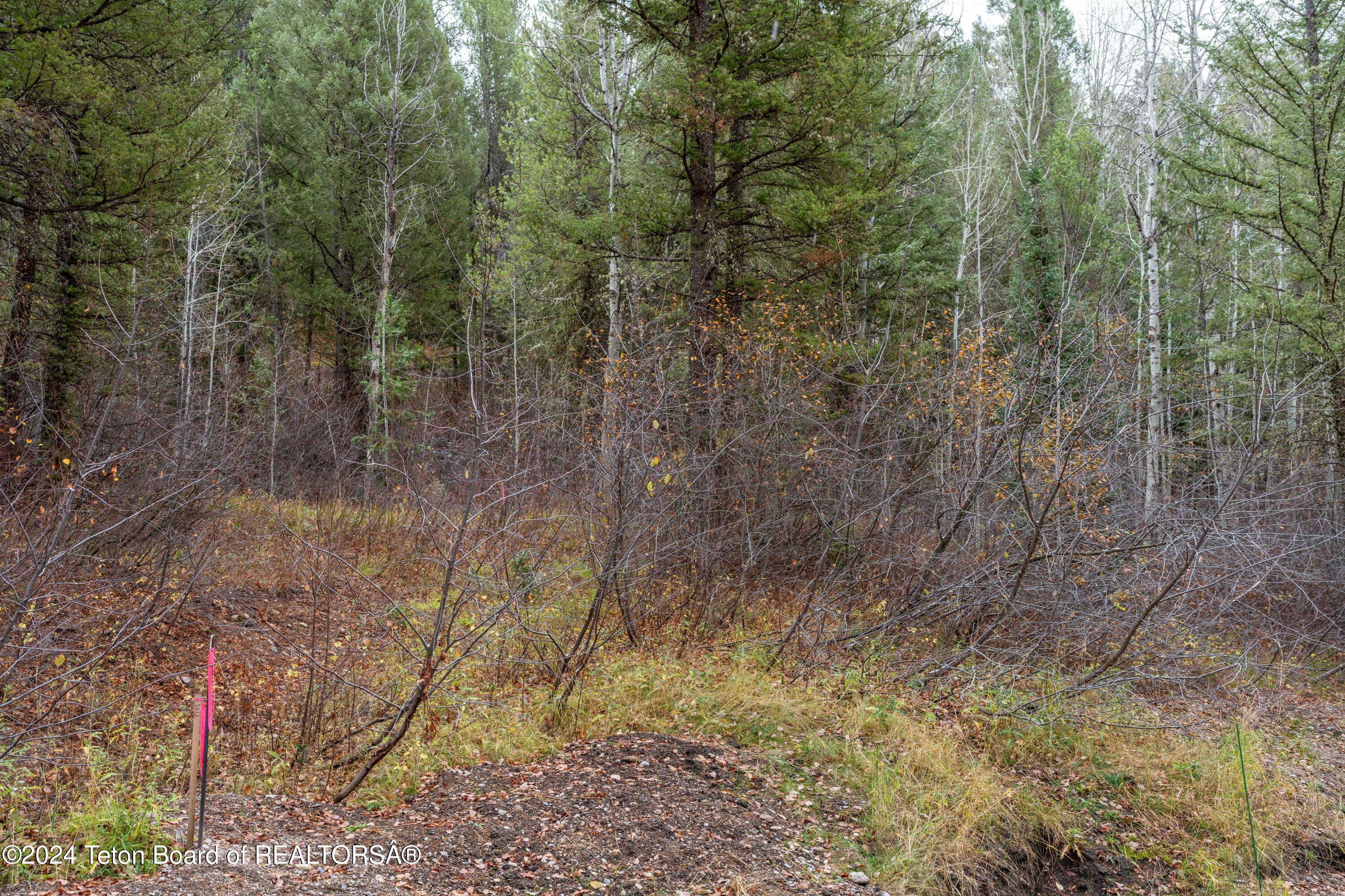 Lot 24 Trail Ridge Road Alpine, WY 83128 - Photo 7 of 13 ShadowDancer24_JGPhoto-7